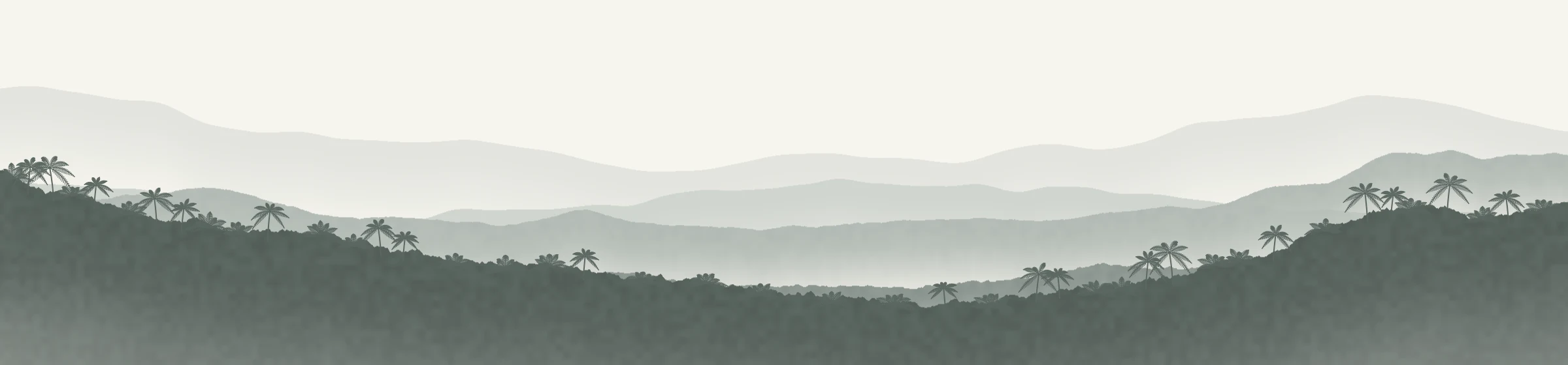 Misty Puerto Rico mountains with palm trees along the front ridge